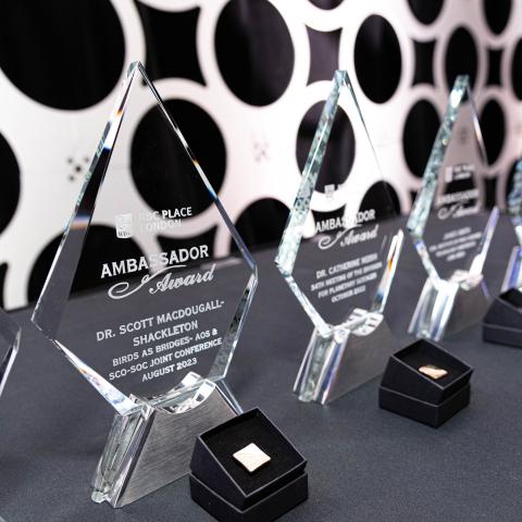 Ambassador Awards and pins on a table