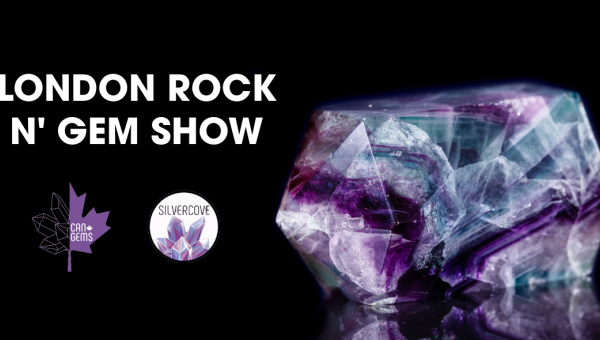London rock n gem show nov 7-9 2025 at RBC Place London